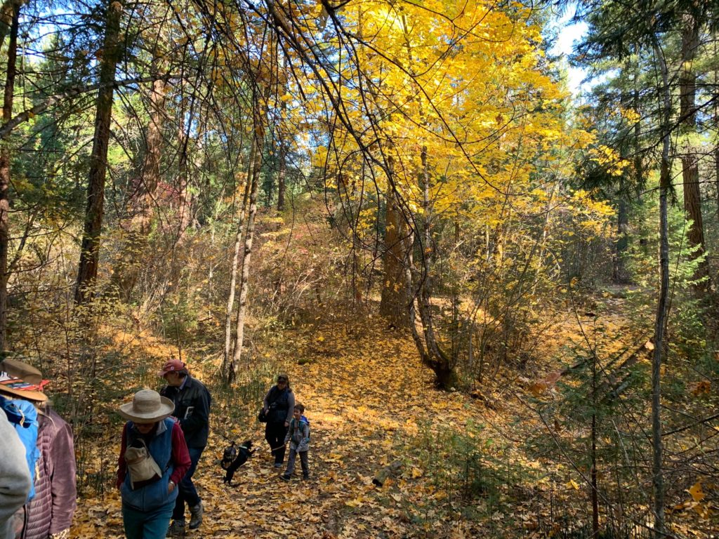 Trail at East Weaver Creek.