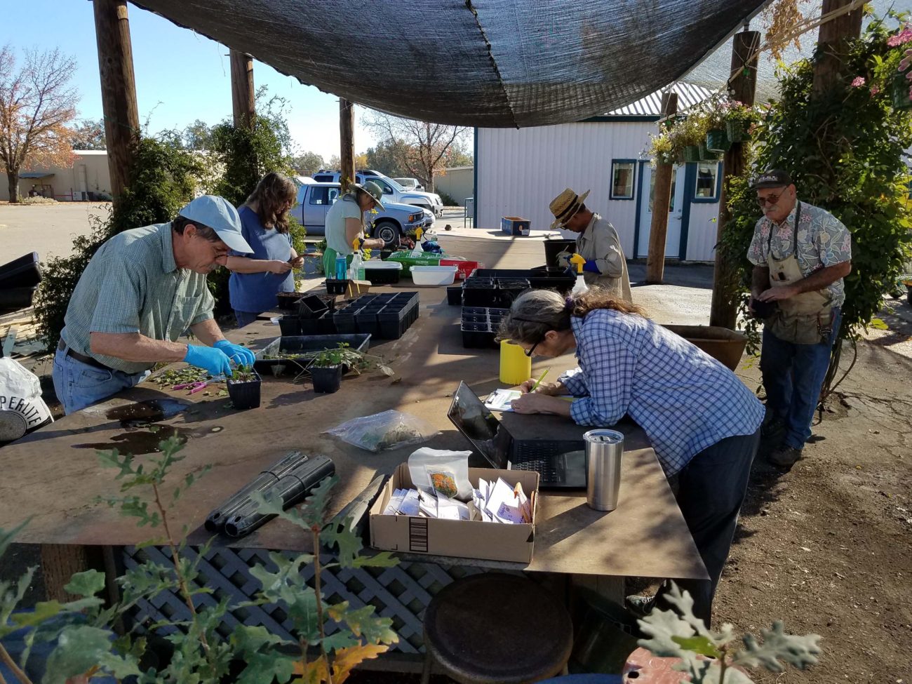 Busy propagation session on November 10.