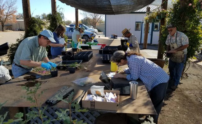 Busy propagation session on November 10.