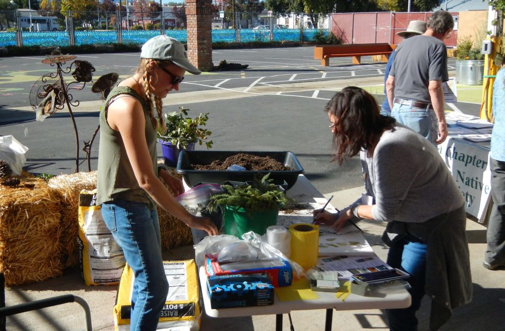 Sarah Jarret (left) prepares a bucket of yarrow divisions for planting, while artist Elizabeth McClellan draws a yarrow stem at the AFTA Seeds of Regrowth event.