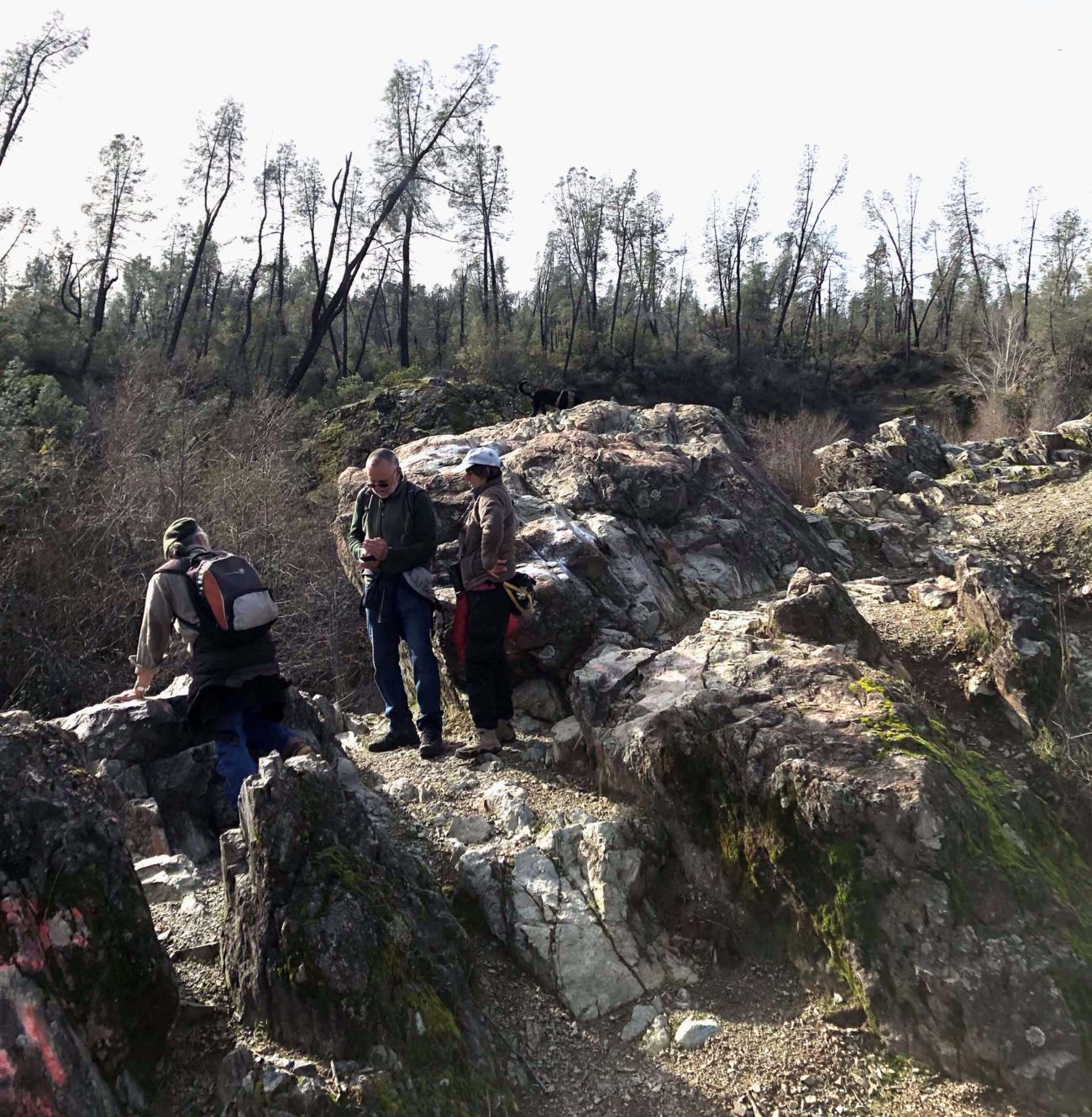 January 18, 2020, field trip participants at the edge of the gorge on the Clear Creek Gorge Trail. Photo by Bob Madison.