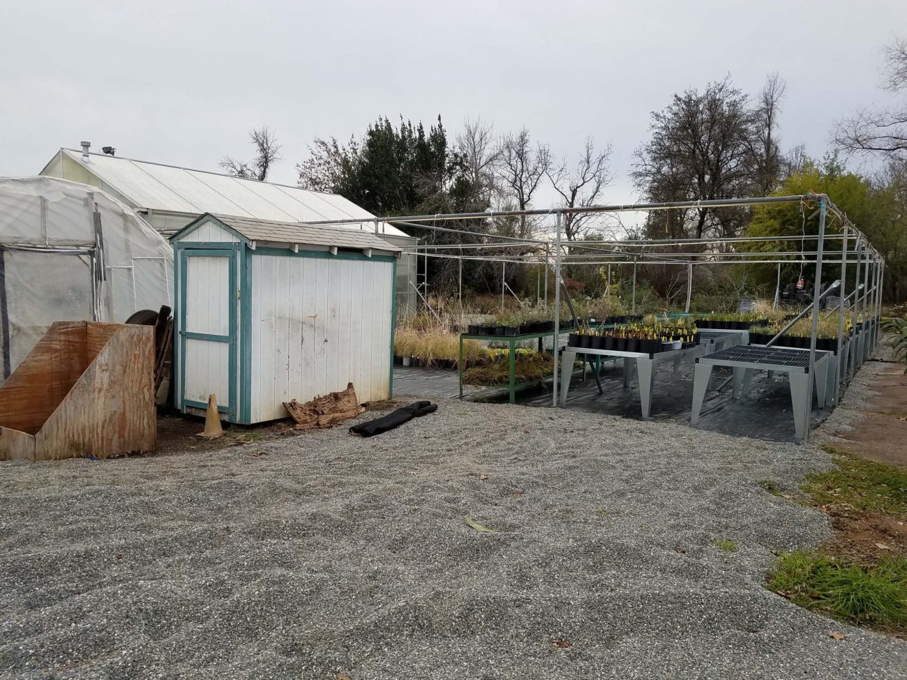 Gravel, shed and growing tables at Shasta College nursery, January 19, 2020. Photo by Doug Mandel.