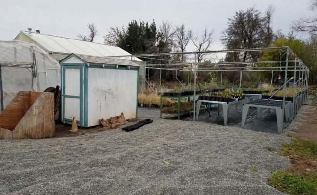 Gravel, shed and growing tables at Shasta College nursery, January 19, 2020. Photo by Doug Mandel.