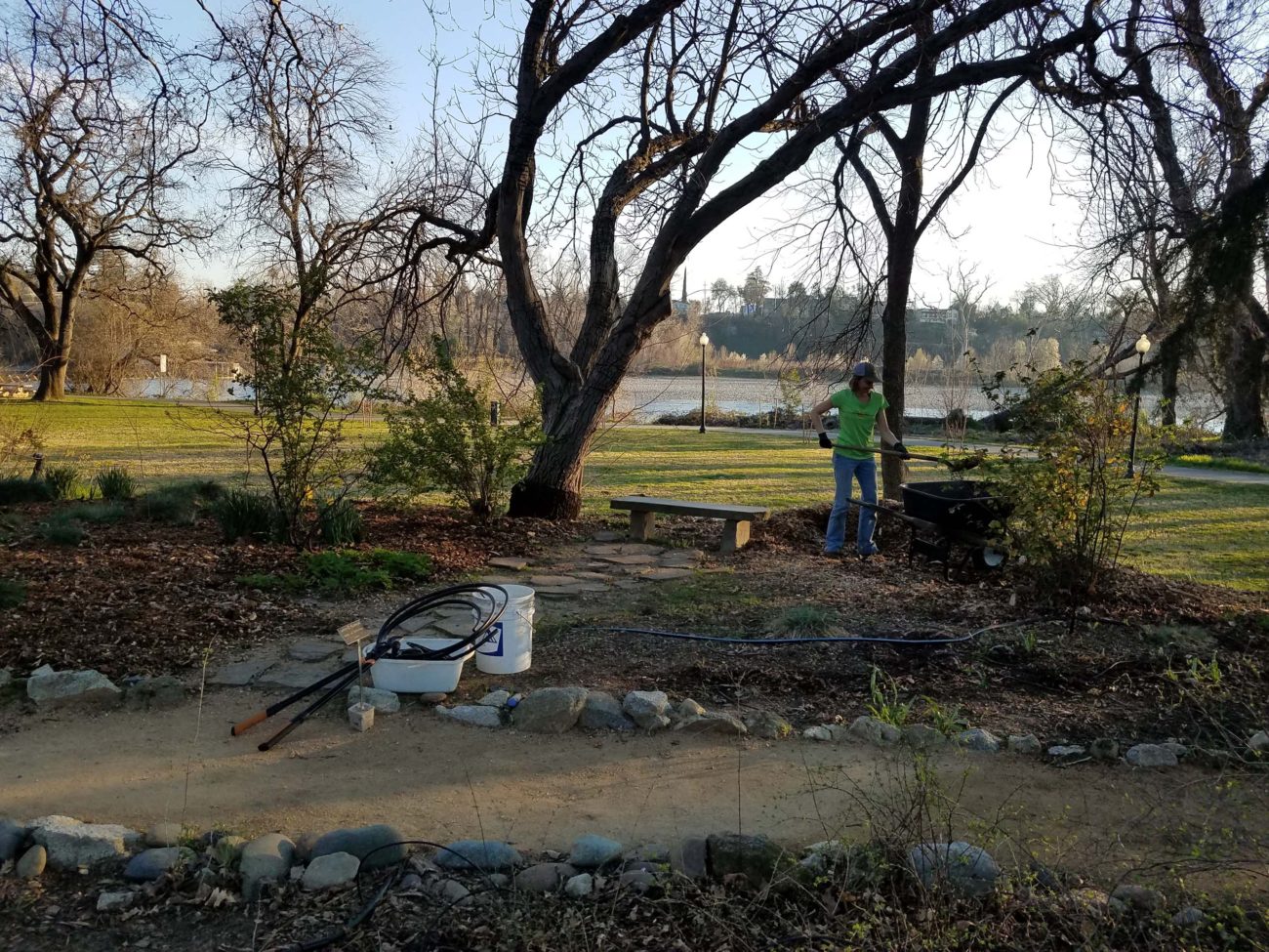 Sarah loading wood chips for strategically mulching the Matson-Mowder-Howe Celebration Garden at the February 21, 2020, work party. Photo by Doug Mandel.