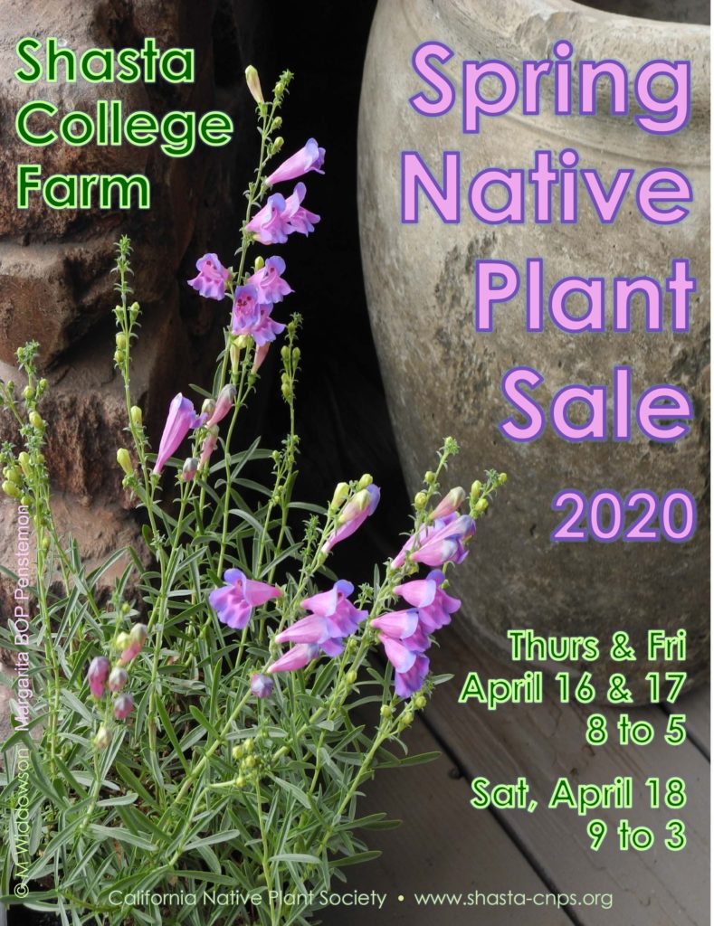 2020 Spring Plant Sale flyer designed by Margaret Widdowson.