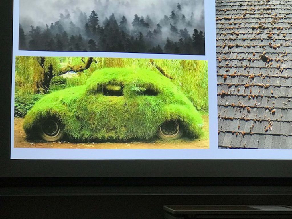 VW Bug covered in moss; scene from Scot Loring’s Feb. 20, 2020, Chapter meeting presentation.