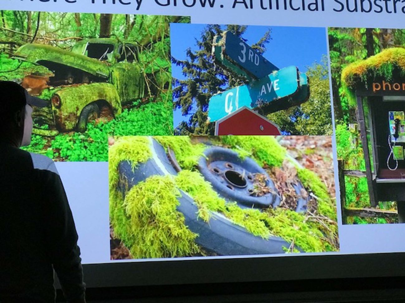 Examples from Olypic Peninsula, Washington, of byrophytes growing on non-organic matter. Scot Loring’s presentation at the February 20, 2020, Chapter meeting.