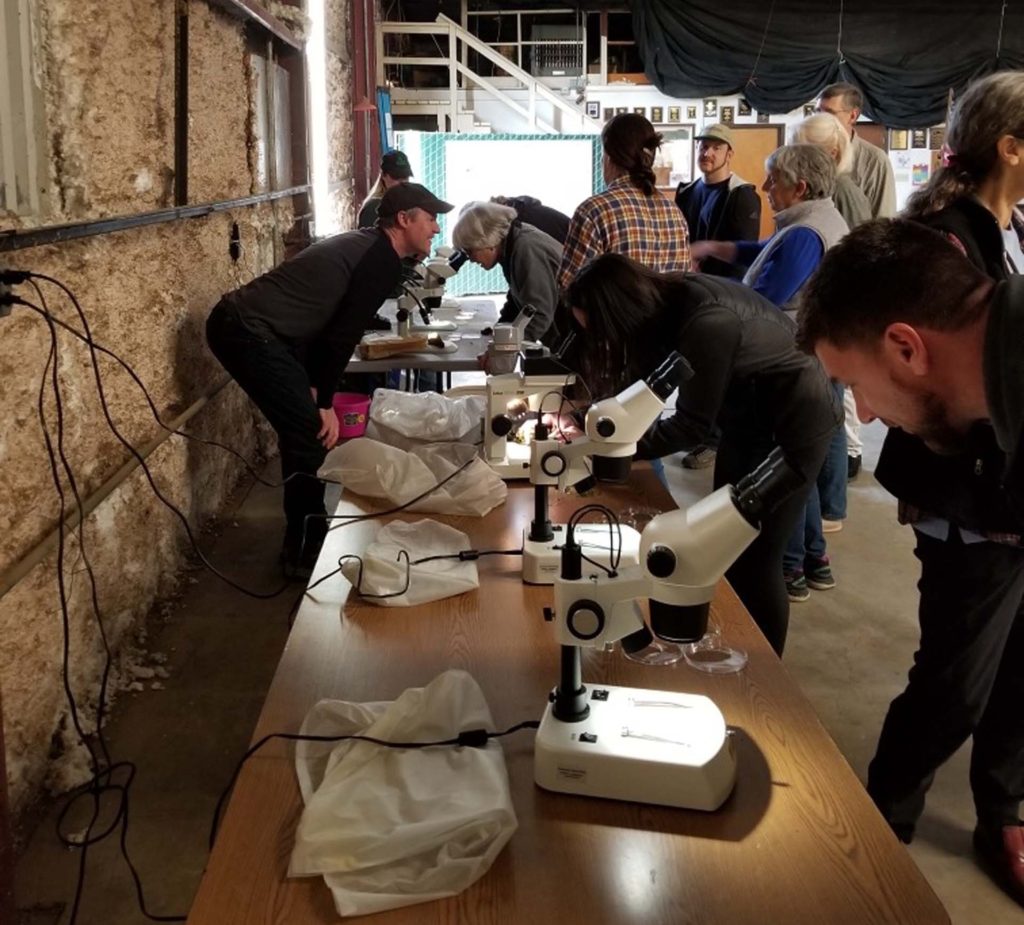 Bryophyte workshop attendees on February 21, 2020, using microscopes to check out various plant characteristics. Instructor Scot Loring at far left. Photo by Kar Stoker.