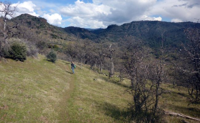 McClure Trail. D. Burk.