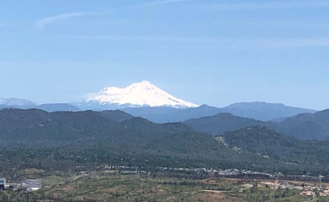 Mt. Shasta. C. Harvey.