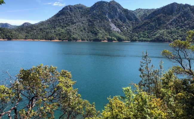 Shasta Lake. C. HArvey.