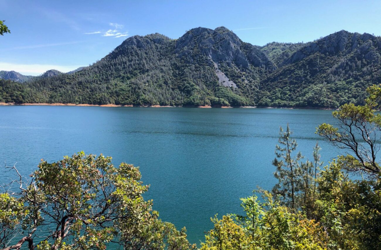 Shasta Lake. C. HArvey.