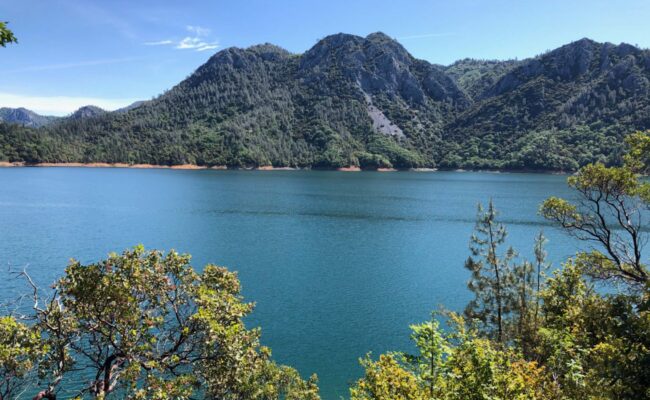 Shasta Lake. C. HArvey.