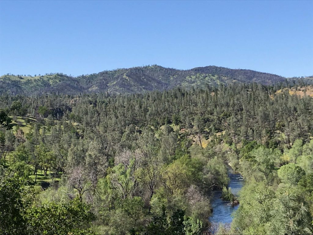 Clear Creek vista. S. Libonati-Barnes.