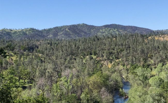 Clear Creek vista. S. Libonati-Barnes.