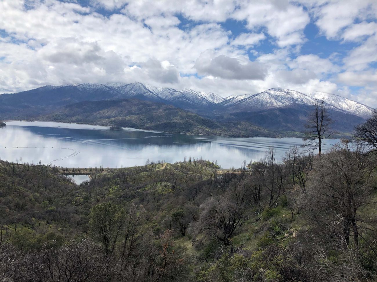 Whiskeytown Lake. C. Harvey.