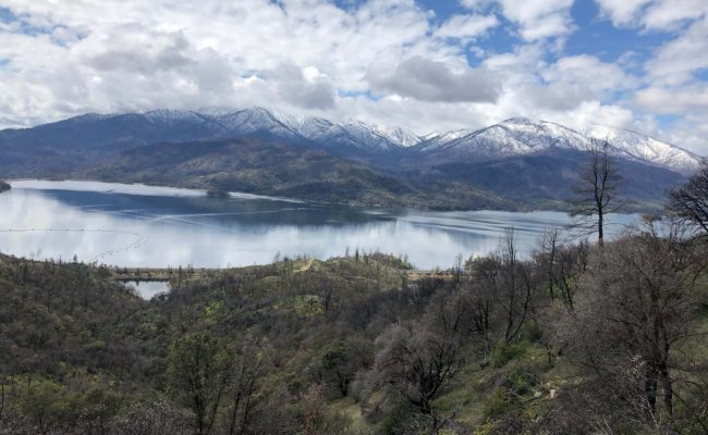 Whiskeytown Lake. C. Harvey.