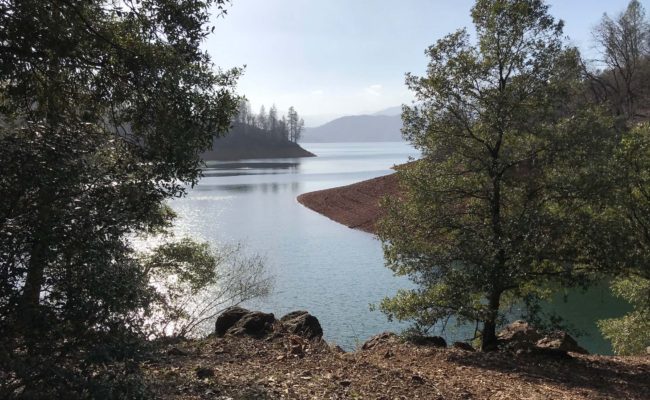 Lake Shasta. S. Libonati-Barnes.