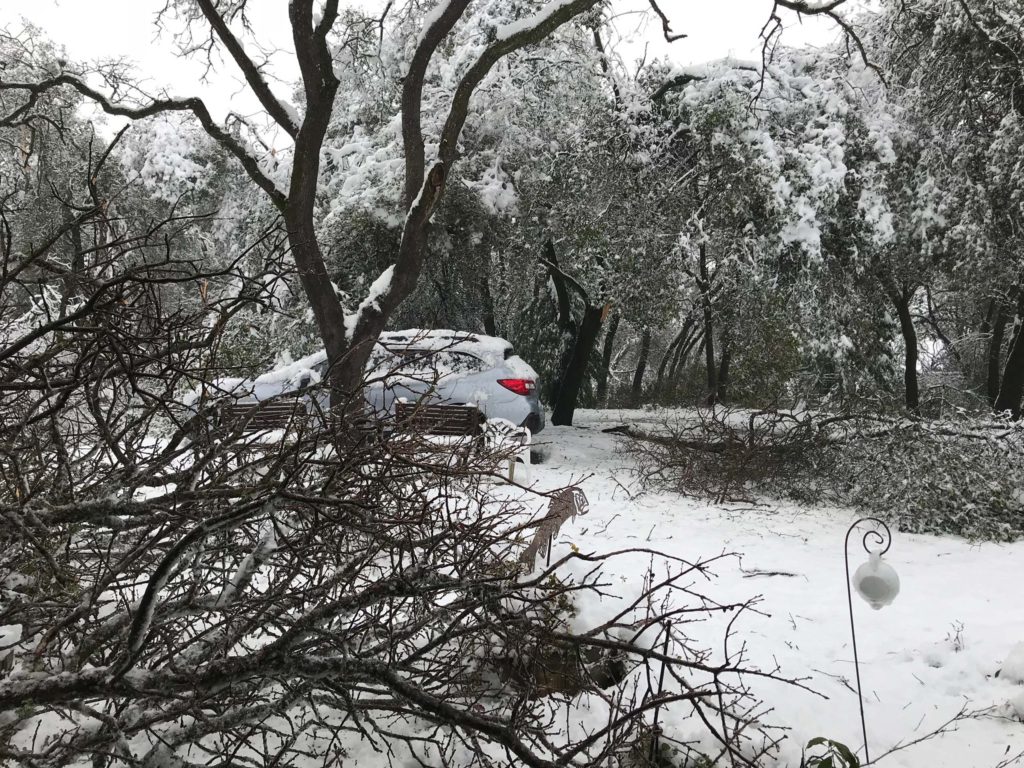 Snowmageddon, February 2019. Photo by Susan Libonati-Barnes.