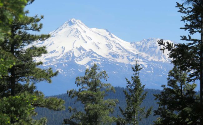 Mt. Shasta. J. Thesken.