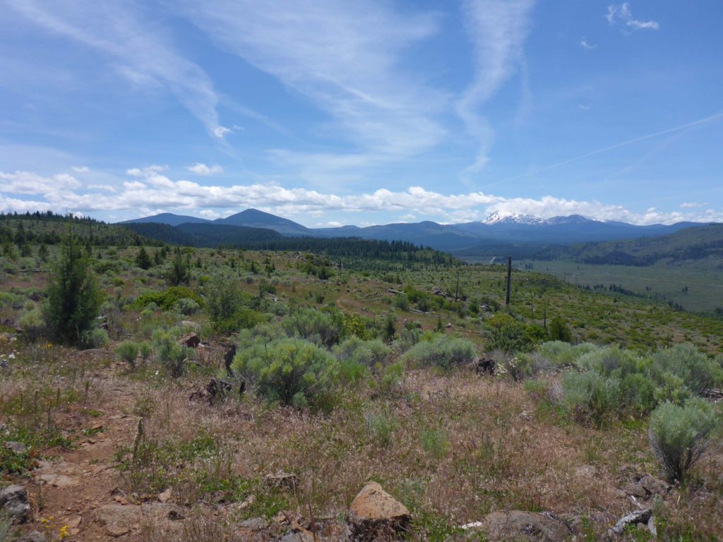 Looking south-south west from Hat Creek Rim. D. Burk.