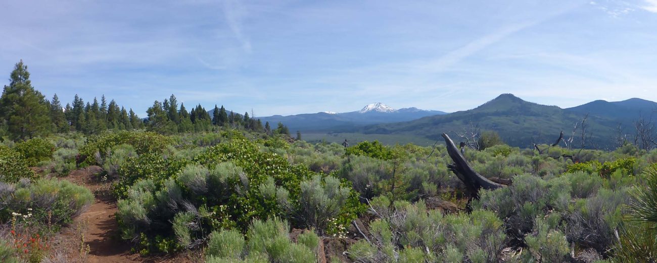 Panorama of PCT on Hat Creek looking SSW. D. Burk.