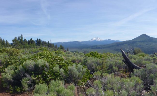 Panorama of PCT on Hat Creek looking SSW. D. Burk.