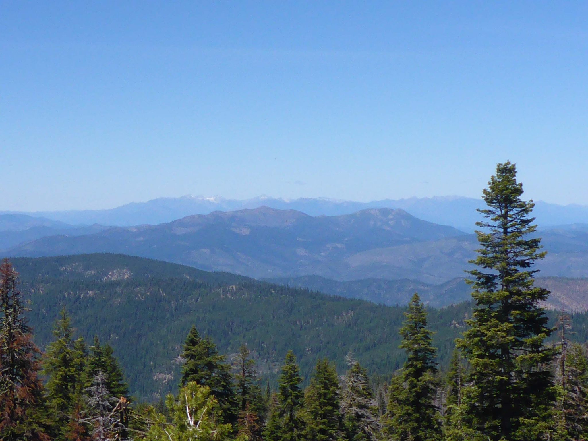 Pettijohn Trail, Yolla Bolly–Middle Eel Wilderness, June 21, 2020