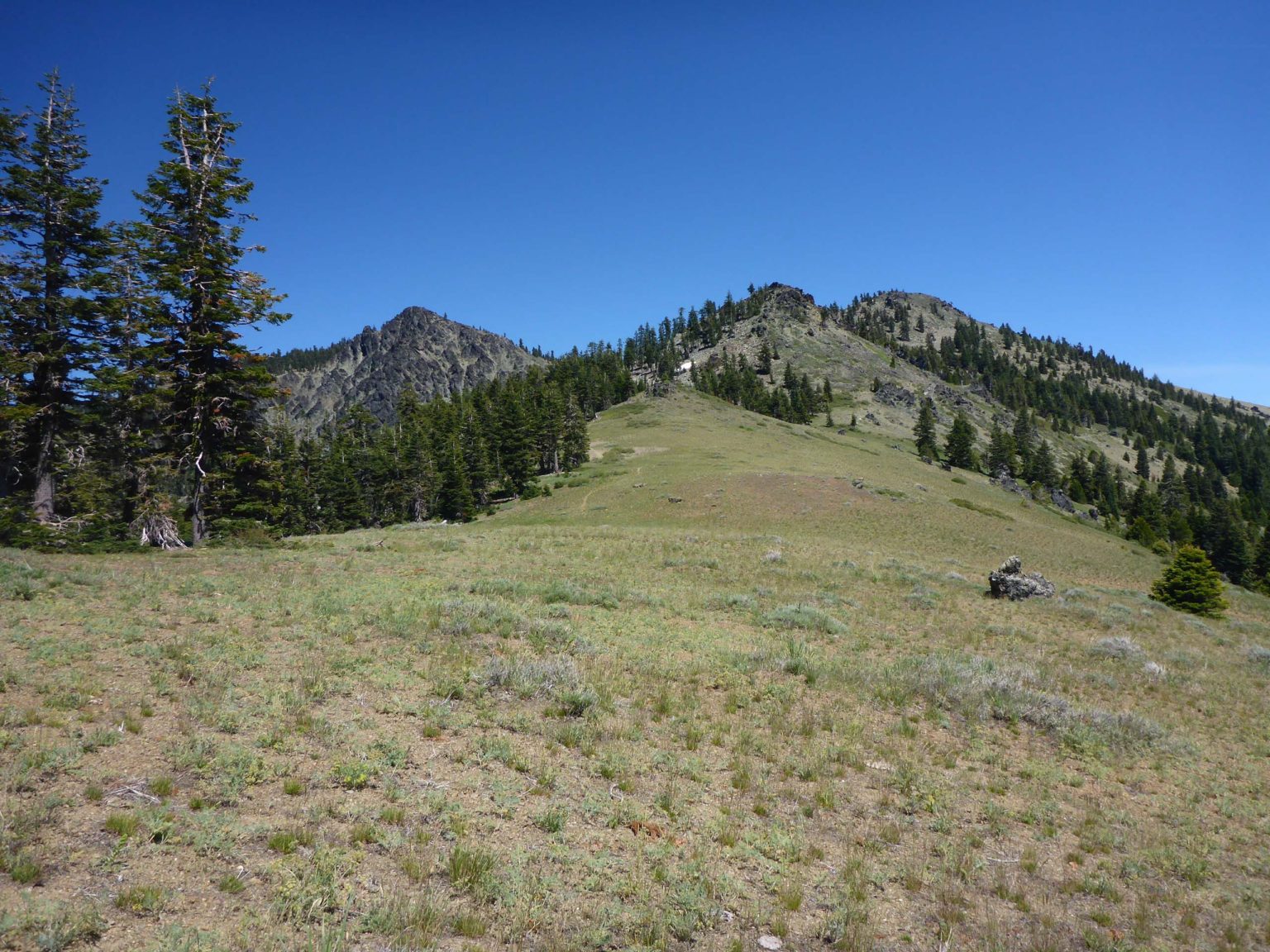 Pettijohn Trail, Yolla Bolly–Middle Eel Wilderness, June 21, 2020