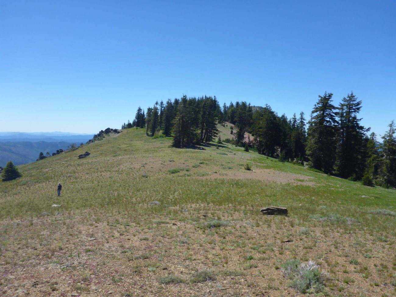 View west from ridgetop. D. Burk