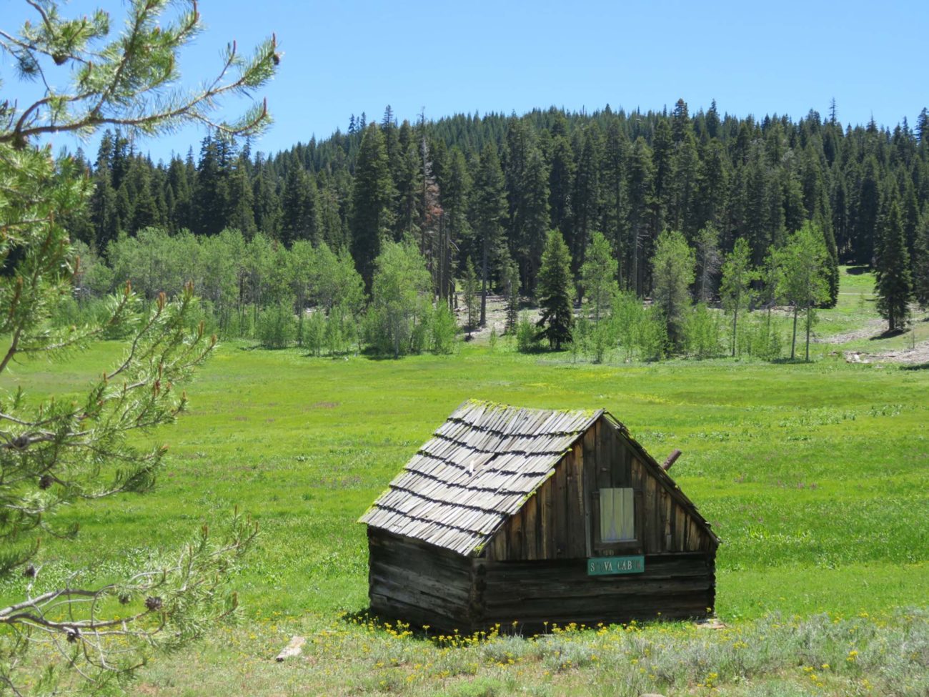 Silva cabin and meadow near Martin's Dairy. J. Thesken.