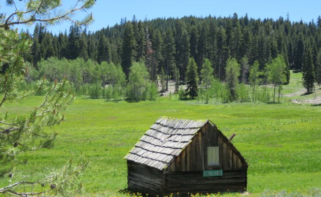 Silva cabin and meadow near Martin's Dairy. J. Thesken.