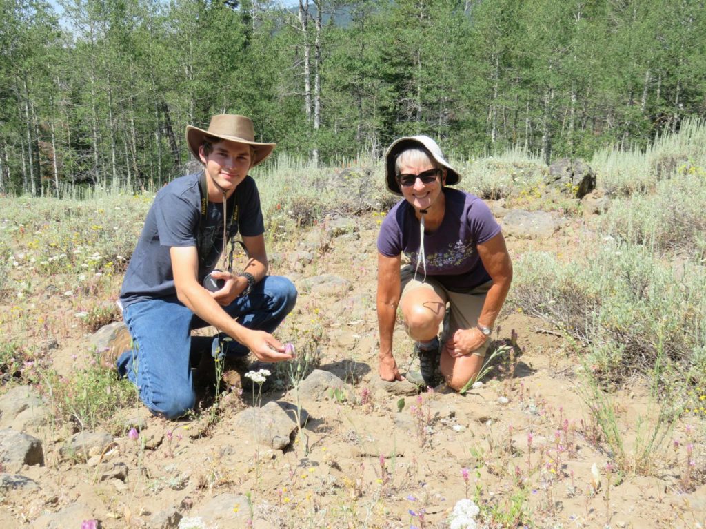 Zane Walker and Terri Thesken in a patch of Greene's mariposa lily. J. Thesken.