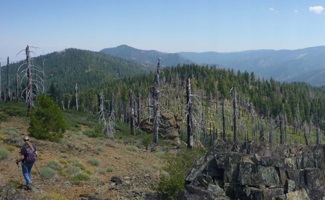 Looking east toward East Low Gap. D. Burk