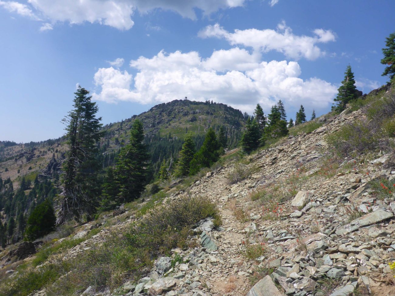 Black Rock Trail and mountain, with lookout just visible. D. Burk.