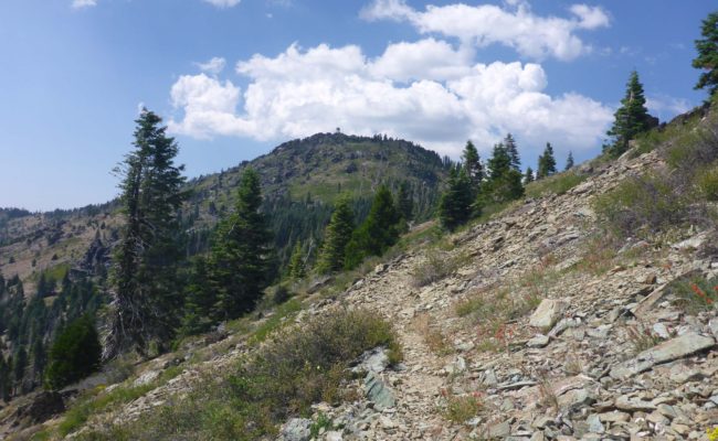 Black Rock Trail and mountain, with lookout just visible. D. Burk.