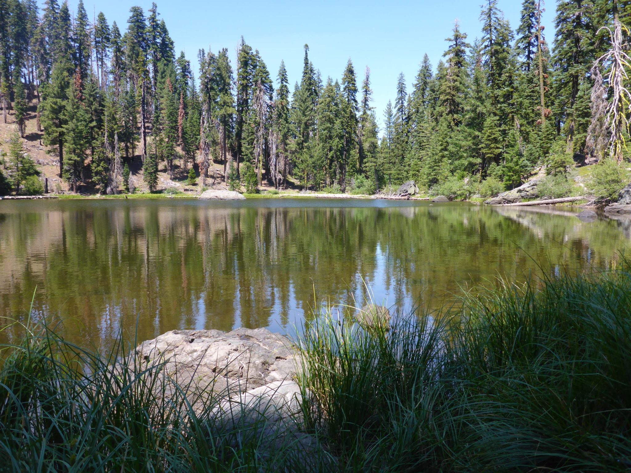 Black Rock Lake, August 2, 2020