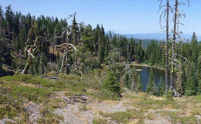 Black Rock Lake panorama. D. Burk.