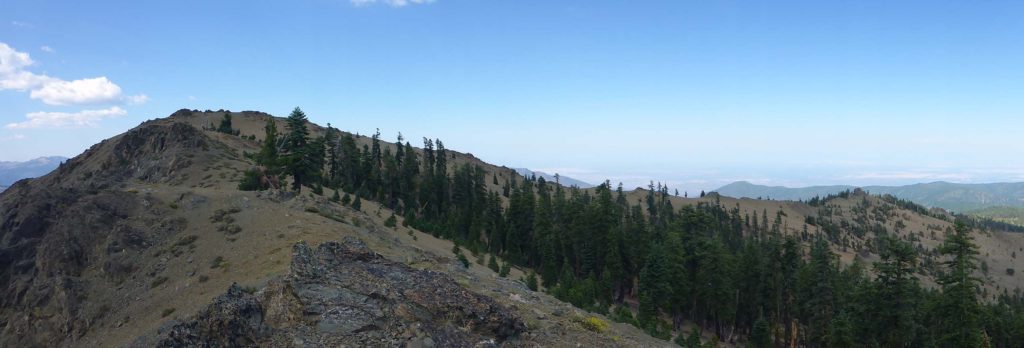Mount Linn and ridgeline. D. Burk.