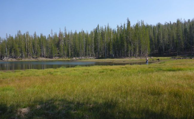 North Divide Lake. D. Burk.