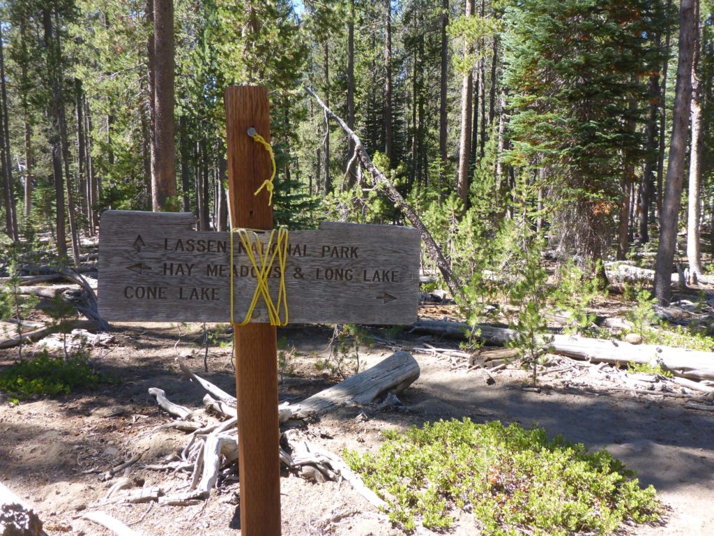 Sign at south end of Triangle Lake. D. Burk.