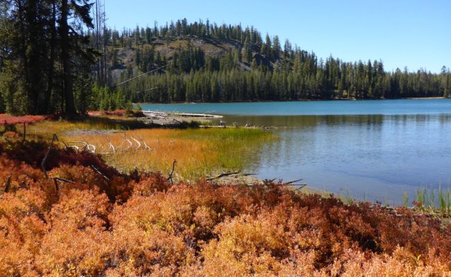 Turnaround Lake. D. Burk.