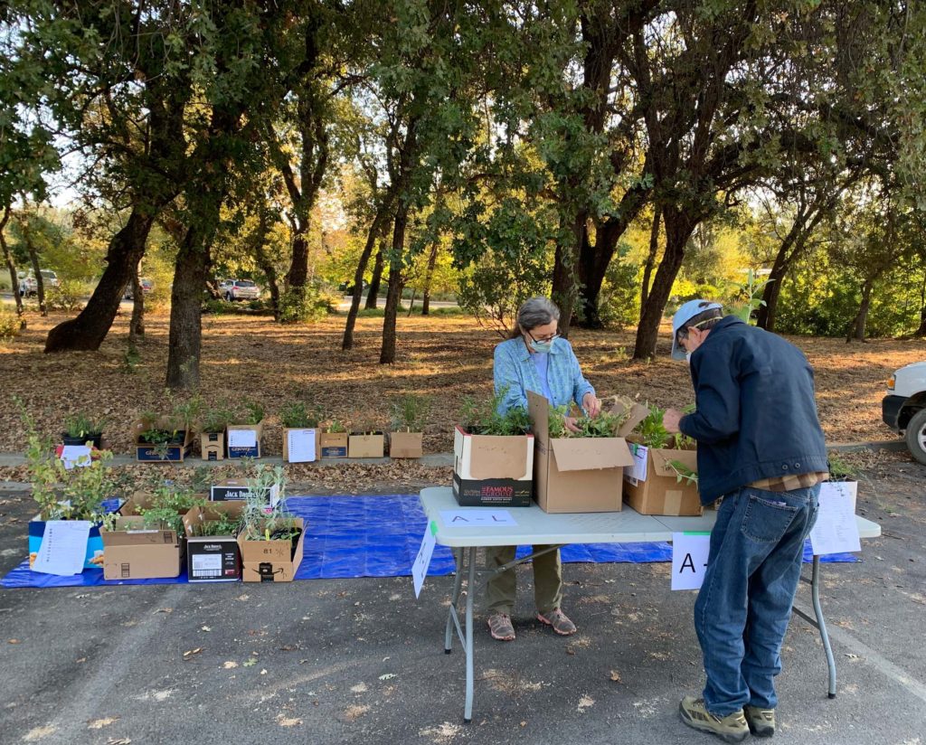 Margaret Widdowson and Chris Gray prepping orders. J. Hernandez.