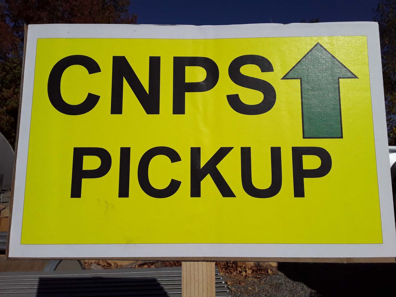 Plant pickup sign. M. Widdowson.