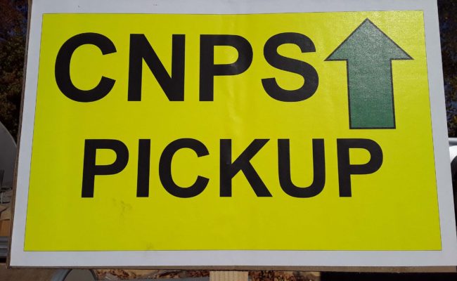 Plant pickup sign. M. Widdowson.