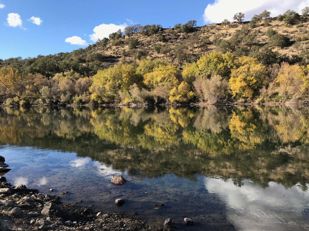 Sacto River and fall colors. S. Libonati-Barnes.