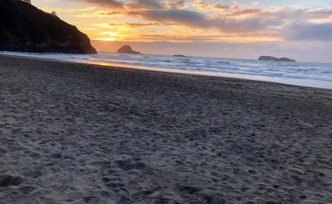 Dry Lagoon beach. C. Harvey.