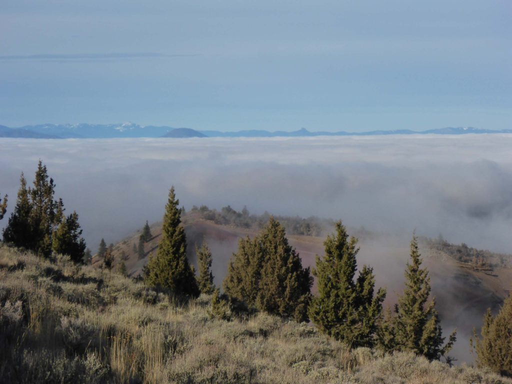 Shasta Valley socked in with fog.  D. Burk.
