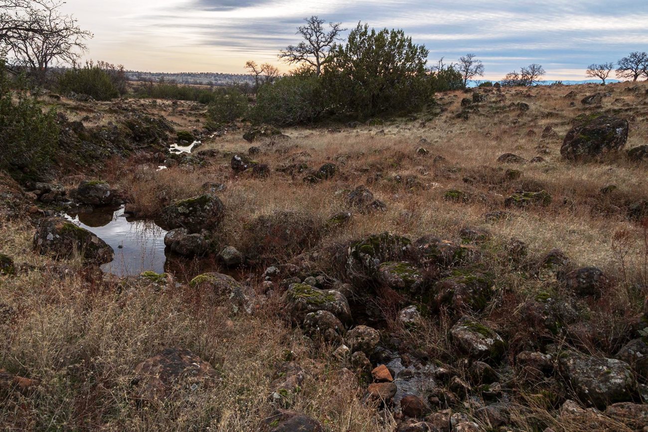 Sevenmile Creek. G. Lockett.