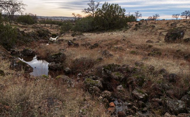 Sevenmile Creek. G. Lockett.